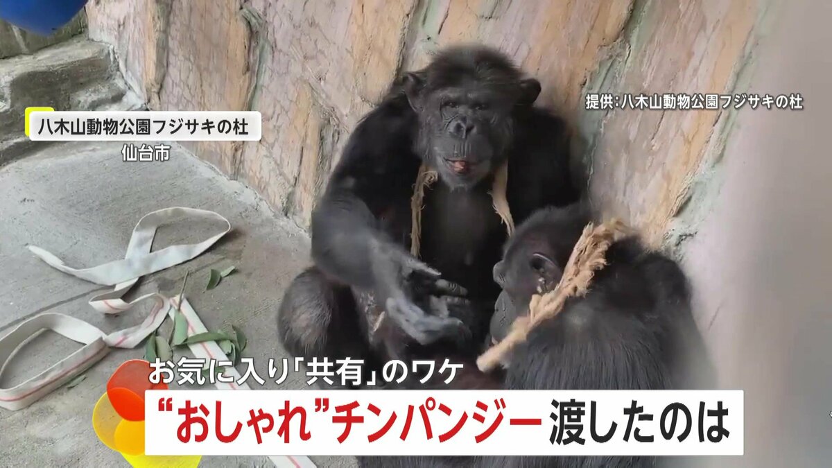 img_c3c3282c14f430869aa0594205