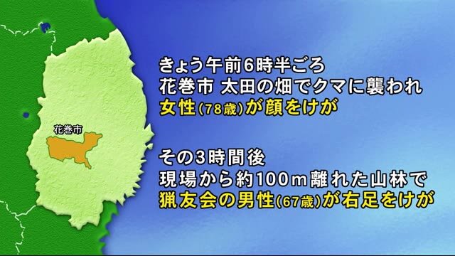 クマに襲われ男女２人けが ２頭を捕獲 岩手 花巻市