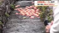 恒例のブリキ金魚レースに大歓声　宿場町・熊川に秋のにぎわい