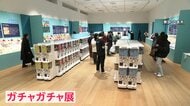 進化続ける最新カプセルトイ集結　市場規模3倍に…新たな魅力提案