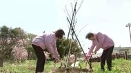 公園にハナカイドウ植樹　岩手・盛岡市内のボランティア団体　