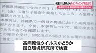 沖縄市で野鳥の鳥インフルエンザ確認　高病原性ウイルスか検査