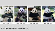 【速報】アドベンチャーワールドのパンダ4頭が中国へ　ことし6月に