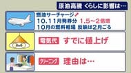 クリスマスケーキも値上がりするかも…「原油価格高騰」で今後の電気代や食卓などへの影響は