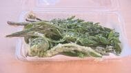 「無料」に長い例　「山菜の天ぷら」道の駅で200食限定　長野県内産のコシアブラ、フキノトウ、コゴミ、セリの4種類　長野・青木村