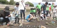海を大切にして井口産アサリをもっと食べたい！　ひろしま海の森づくりプロジェクト