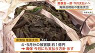 巡視船から重油流出で被害６億円超に　海保が６月中に賠償金支払い　 塩釜市など漁業者の生活救済へ〈宮城
