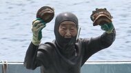 対馬にいた“伝説の海女”が潜り続ける理由。海と共にたくましく…
