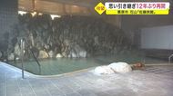 思い引き継ぎ12年ぶりに再開 2度の震災を乗り越えた秘湯の旅館「佐藤旅館」【宮城発】