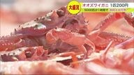 海の厄介者「オオズワイガニ」1匹200円に行列　5000匹が1時間で完売…100匹買う人も【北海道発】