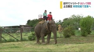 岩手サファリパーク 5月30日再開へ 土日限定 時間短縮で営業 【岩手・一関市】