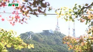 7日は立冬 長崎県内は暖かく穏やかな冬の始まり