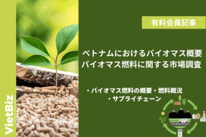 ベトナム市場調査レポート販売|ベトナムにおけるバイオマス概要・バイオマス燃料に関する市場調査