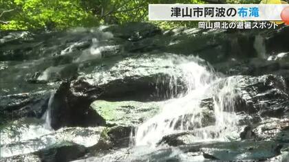 落差約５０メートル…津山市の布滝に涼を求め多くの人　猛暑続く夏に水と緑が織りなす夏の癒やし【岡山】