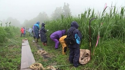 「未来に残したい草原の里100選」に勝山市の池ヶ原湿原　福井県内で初の選出　市民団体らの外来種駆除活動など評価