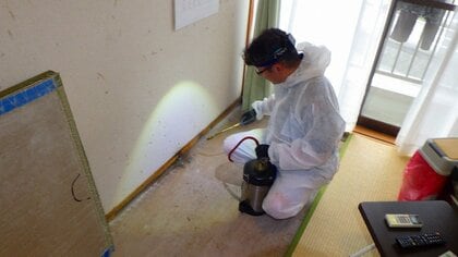家にトコジラミを持ち込んでしまった時の対処法。家財を捨てなければならないってホント？駆除の第一人者に聞いた｜FNNプライムオンライン