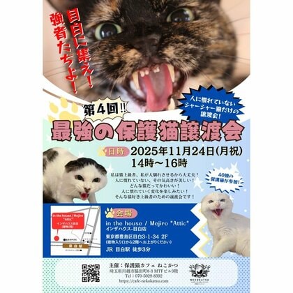 11月24日開催予定の「最強の保護猫譲渡会」のポスター