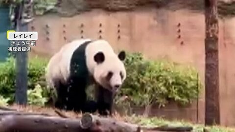 パンダに別れ惜しみ…開園前から4000人以上が行列　上野動物園“予約なし1分観覧”最終日