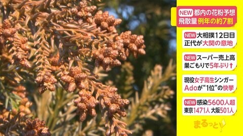 都内の花粉予想 飛散量 例年の約7割