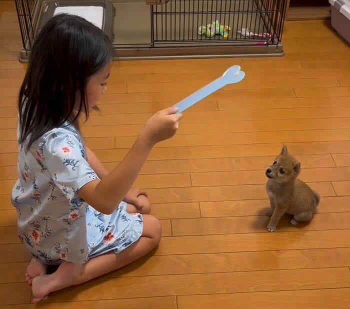 娘さんとお座りの練習もしている