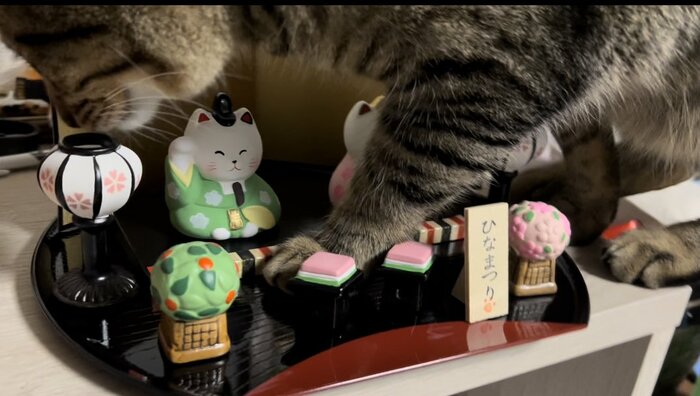 ひな人形の間をそっと歩くチルくん。本当は器用なのかも