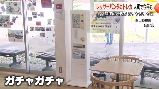 トレカのガチャガチャ式自動販売機