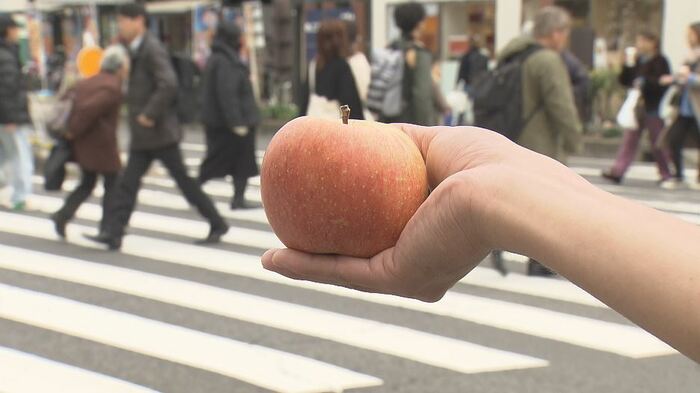 リンゴが「ぼける」の表現についてー