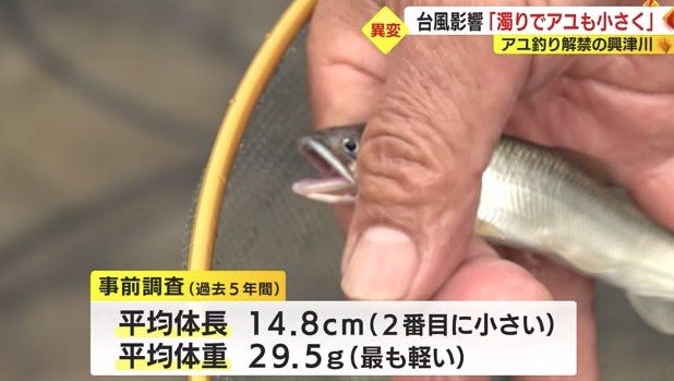 事前調査の結果