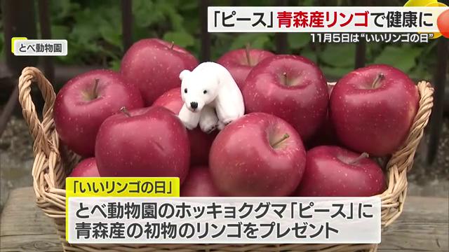 青森から贈られた初物リンゴ