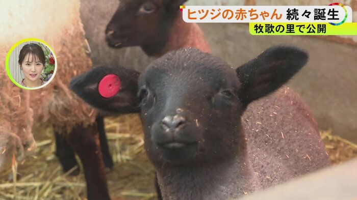 ニュースONE