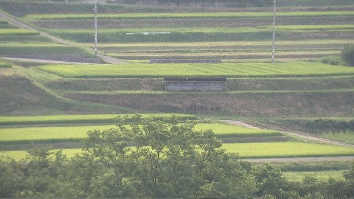 終戦後、ふるさとに戻る