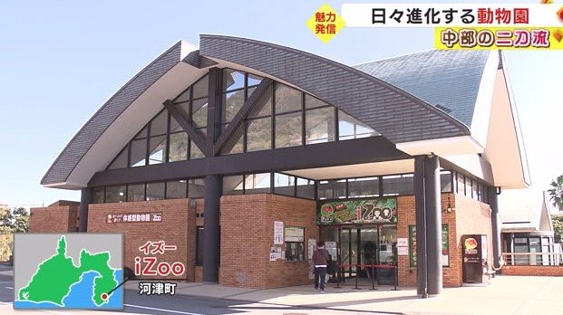 爬虫類・両生類の体感型動物園「iZoo」