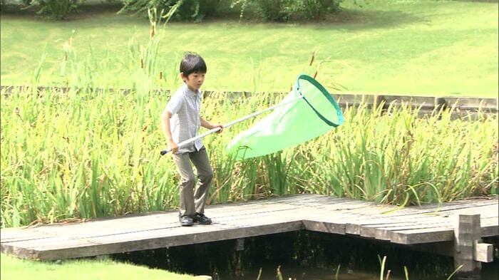 平成27（2015）年8月　トンボ採りをされる悠仁さま（赤坂御用地）