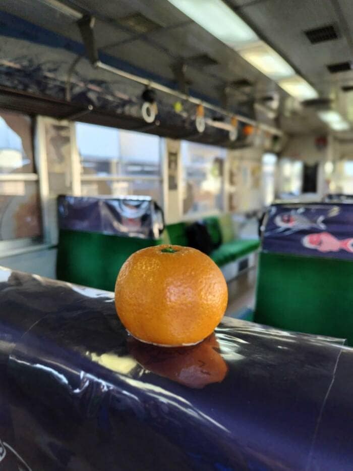 席からみかんがにょっきり(画像:サンプルビレッジいわさき)