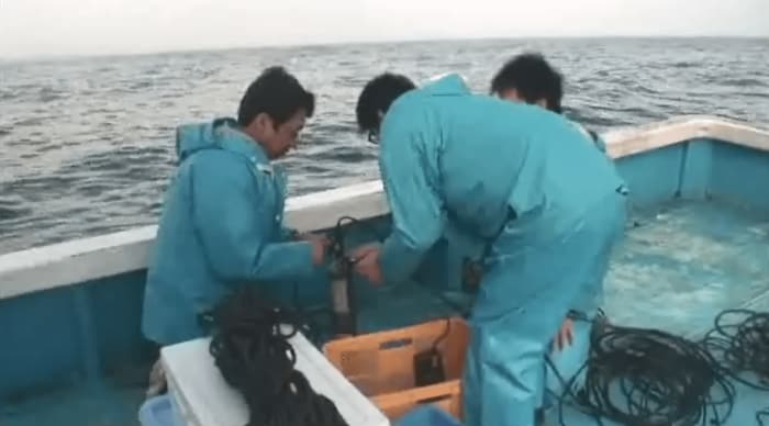 調査をする青海教授と研究所のメンバー