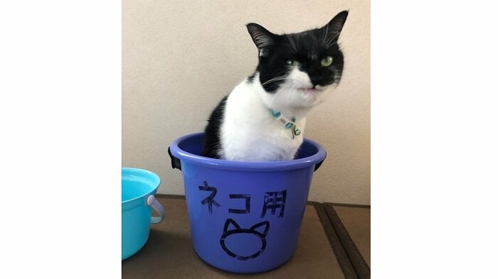 この表情を見る限り、お風呂は余裕そう?