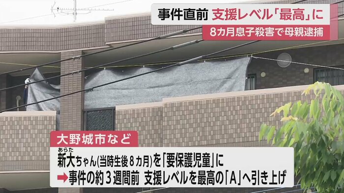 新大ちゃんの胸や腹を強く圧迫し殺害した疑い