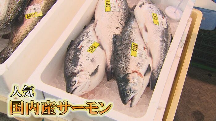 国内産のサーモンが人気