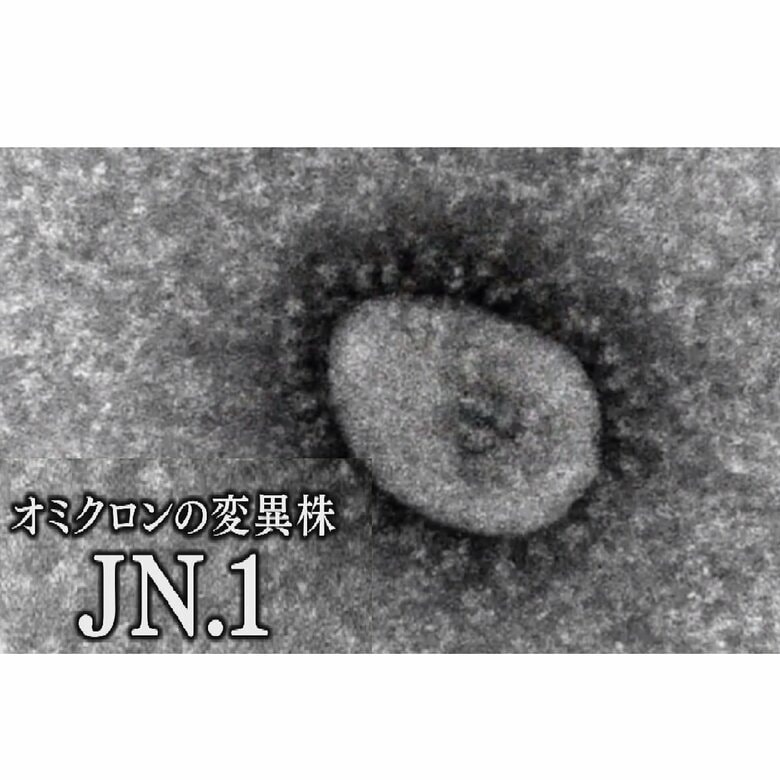 新型コロナ　変異株「JN.1」の特徴は「何度もかかる」　重症化防ぐワクチン無料期間は3月まで｜FNNプライムオンライン