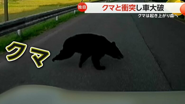 【独自】「クマが出没した」衝突した車大破　部品が飛び散るほどの衝撃も…クマは自力で起き上がり森へ　宮城・七ヶ宿町｜FNNプライムオンライン