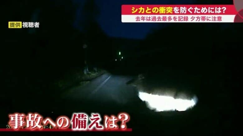 「シカとの衝突事故」多発　一瞬で修理費250万円…早朝と夕方は特に注意！保険で補償されないケースも【北海道発】｜FNNプライムオンライン