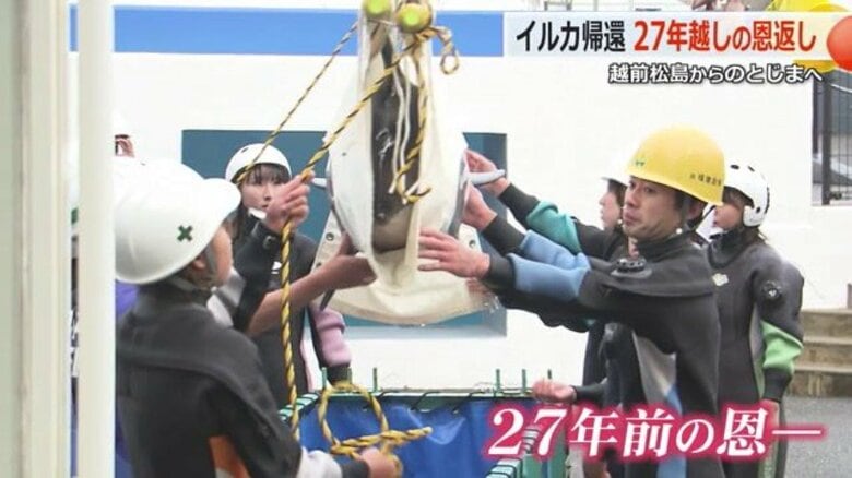 震災で「のとじま水族館」から避難のイルカ2頭　10カ月ぶりに“故郷”へ　越前松島水族館が27年前の恩返し ナホトカ号重油流出事故では福井のイルカが能登に避難｜FNNプライムオンライン