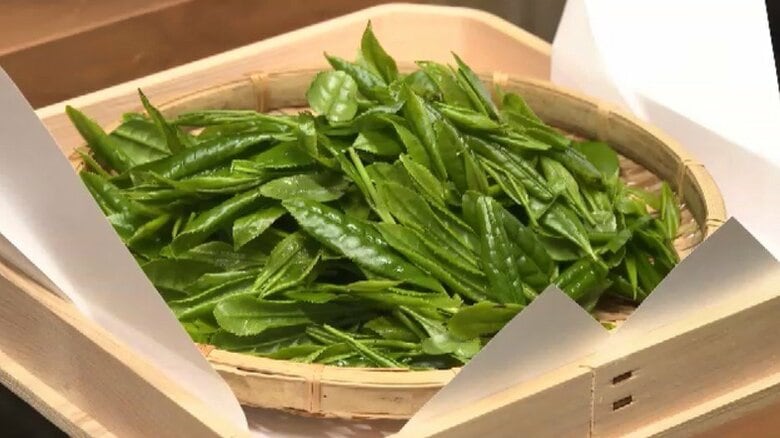 八女市で恒例「新茶祈願祭」　豊作と作業の安全祈る　「去年以上の旨み、香りの良い茶が取れるのでは」　18日に初入札　福岡｜FNNプライムオンライン