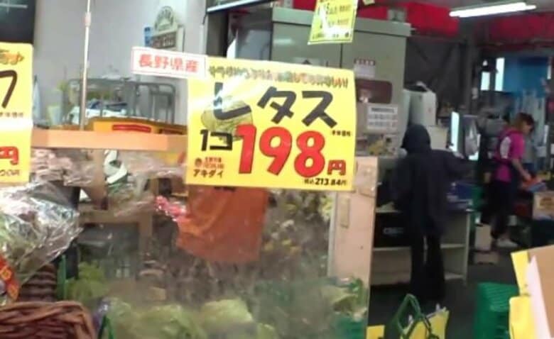 夏こそ食べたいのに…「レタス」価格が平年の“2倍”　高騰の原因は猛暑　一方、「キャベツ」は1割ほど“お買い得”に｜FNNプライムオンライン