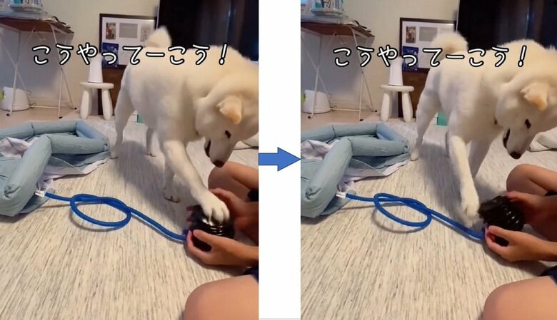 やってみたがガリガリとひっかくだけ…