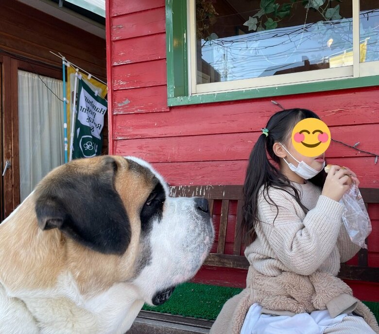 「おいしそうだな～」と見守る口元にはやっぱりヨダレ