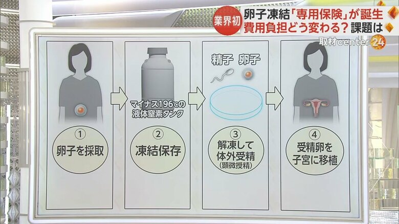 卵子凍結の具体的な流れ
