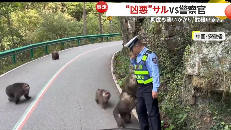 （中国SNSより）