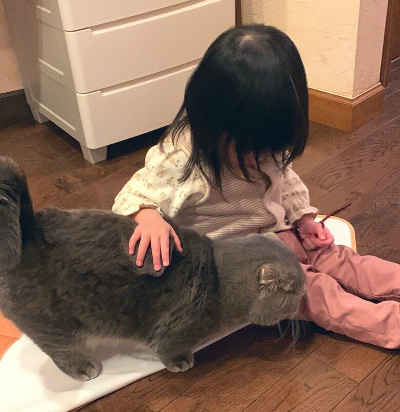 現在は友達のような関係だという