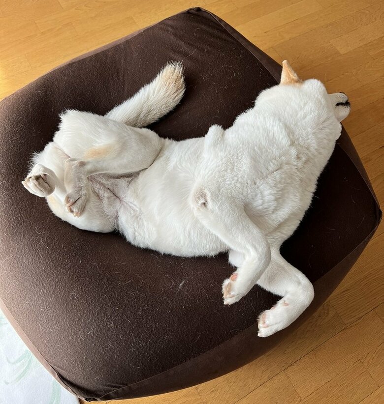 ぐでーんとリラックス